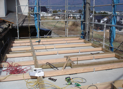 140412_kot02.jpg