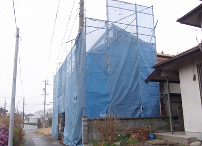 140418_kot02.jpg