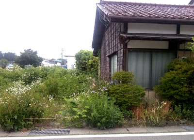 140703_inata04.jpg